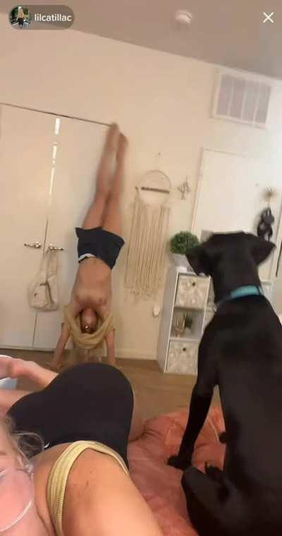 The classic handstand slip